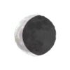 Lunar Phase